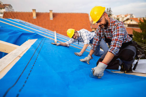 Best Flat Roof Repair Services  in Carlton, OR