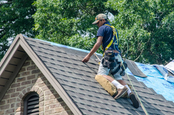 Best Metal Roofing Contractor  in Carlton, OR